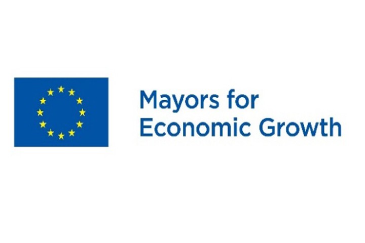 ԵՄ «ՀԱՄԱՅՆՔԻ ՂԵԿԱՎԱՐՆԵՐԸ ՀԱՆՈՒՆ ՏՆՏԵՍԱԿԱՆ ԶԱՐԳԱՑՄԱՆ» ՆԱԽԱՁԵՌՆՈՒԹՅՈՒՆ